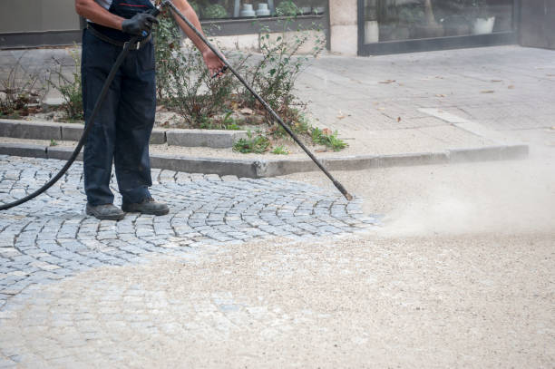 Best Animal Enclosure Cleaning  in New Brunswick, NJ